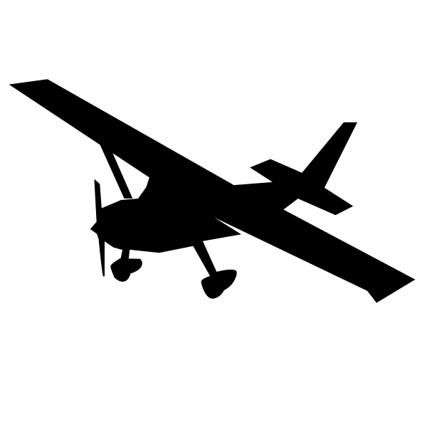 Cessna Icon